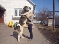 Характеристика породы