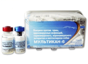 Вакцина мультикан 6 -особенности применения