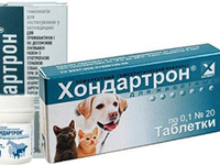 Правила применения хондартрона