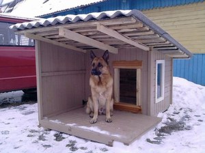 Правила возведения домика