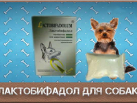 Лактобифадол - ветеринарный препарат