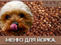 Питание йорка