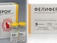 Применение фелиферона для кошек