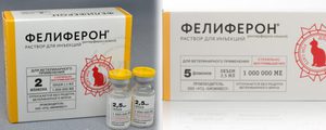 Применение фелиферона для кошек