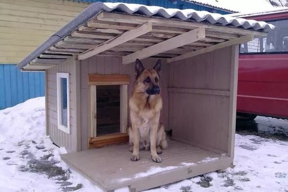 Как сделать будку своими руками