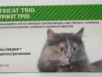 Вакцина Нобивак (nobivac) для кошек 