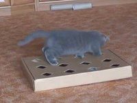 Игрушки из подручных материалов