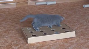 Игрушки из подручных материалов