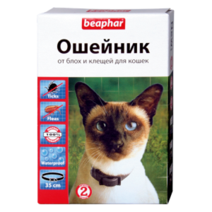 Ошейник