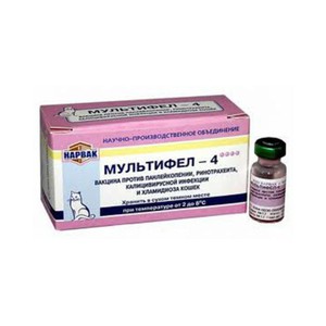 Мультифел для кошек