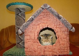 Виды домиков для кошек