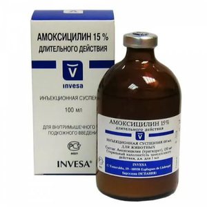  антибиотик для кошек - Амоксицикли