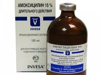  антибиотик для кошек - Амоксицикли
