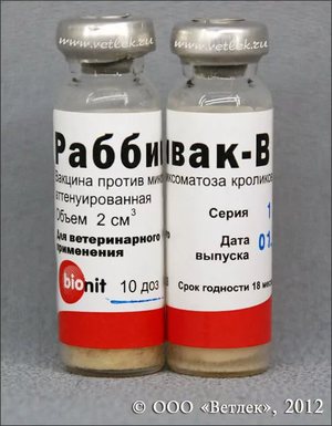 Когда и к акие прививки делать кроликам 