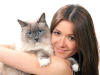Болезни кошек