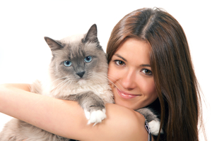 Болезни кошек