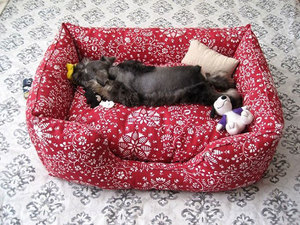 Из чего сделать домик для собаки