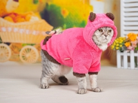 Комбинезон для кошки