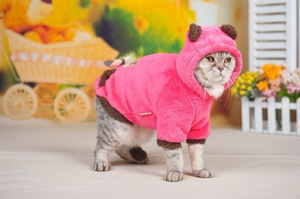Комбинезон для кошки