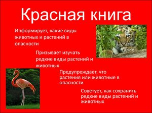 Содержание  красной книги