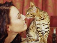 Показатели не здорового кота