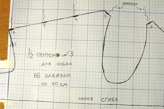 Как пошить попону для кошки