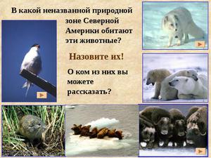 Обитание диких животных