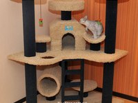 Игровой комплекс для кошек
