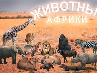 Экзотические животные в Африки