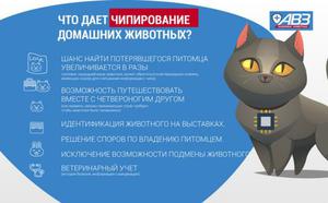 Для чего нужен чип
