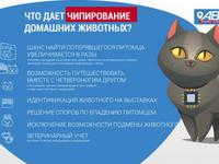 Для чего нужен чип
