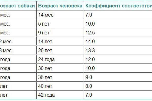Как можно определить возраст собаки