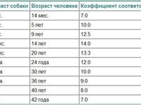 Как можно определить возраст собаки
