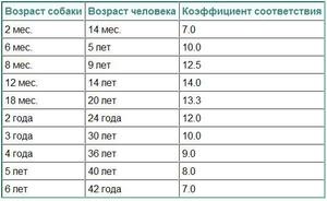 Как можно определить возраст собаки