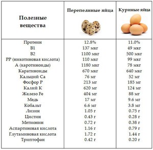Пищевая ценность яиц и вес куриного яйца