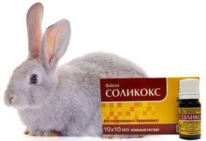 Препарат соликокс