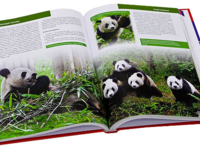 Красная книга - энциклопедия редких и исчезающих животных