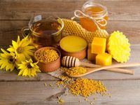 Применение продуктов пчеловодства