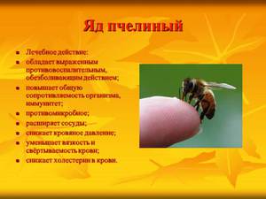 Польза пчелиного яда