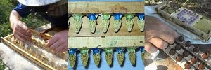 Искуственное оплодотворение матки