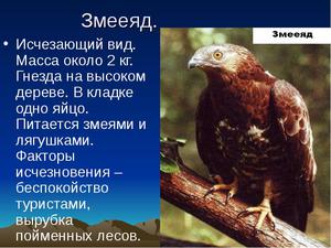 Исчезающие виды животных