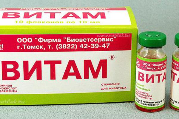 Витам - комплекс