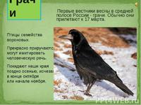 Птицы, прилетающие весной