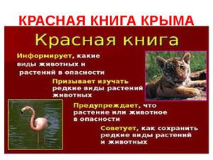 Растения и животные красной книги крыма